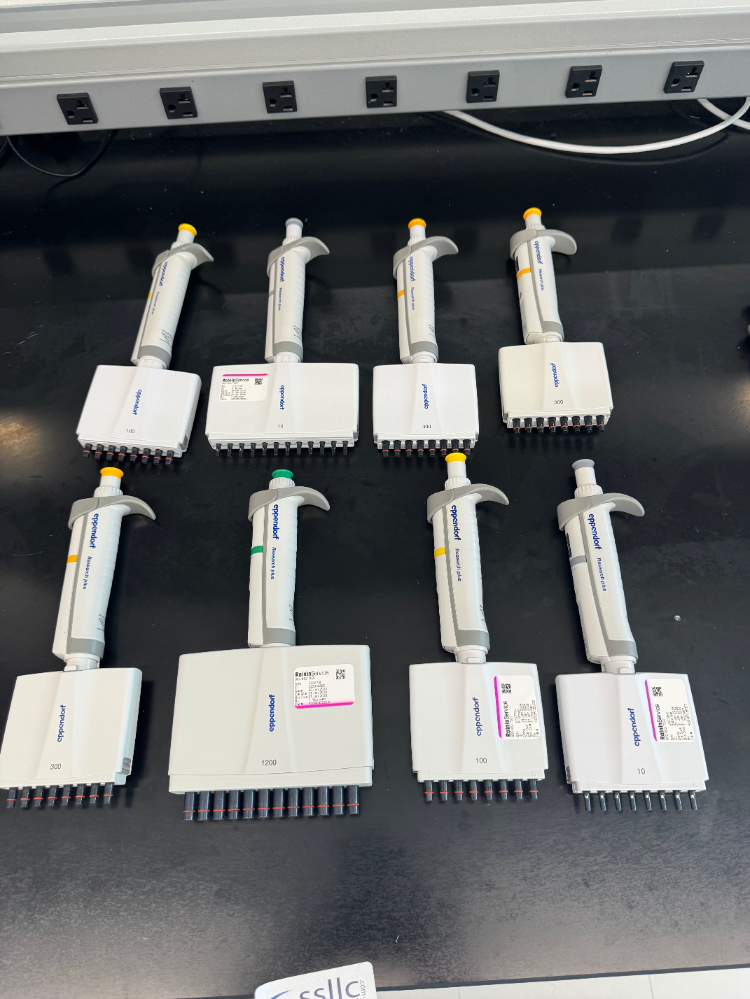 Image of Eppendorf Research Plus Multichannel Pipettes - Quantity 8